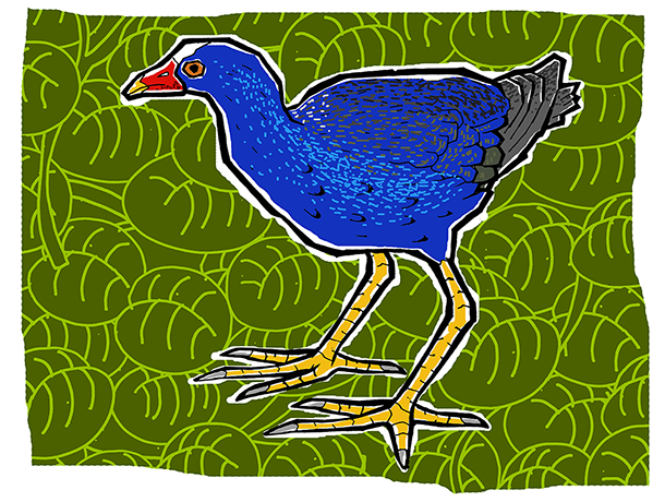 Franfo d`água